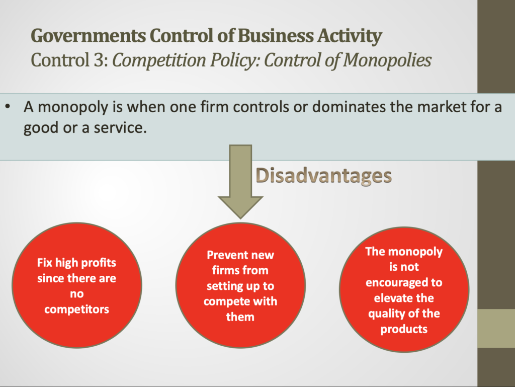 Government Objectives Presentation Notes